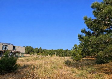 LOTE 100 EN VENTA - ECUESTRE, COSTA ESMERALDA
